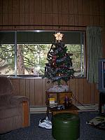 100_0435.JPG