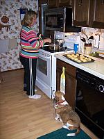 100_0451.JPG