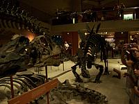 100_0117.jpg