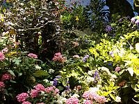 100_0124.jpg