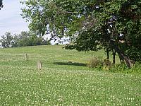 100_1517.jpg