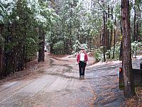 Winter 2006/2007