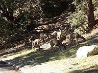 100_0711.JPG
