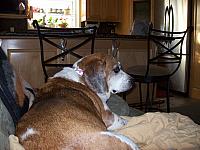 100_0499.JPG