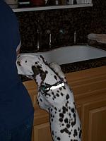 100_0505.JPG