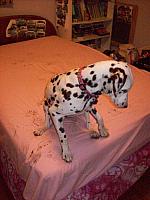 100_0552.JPG