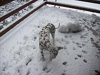 100_0566.JPG