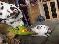 100_0637.JPG
