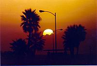 Scanned1983-01.jpg