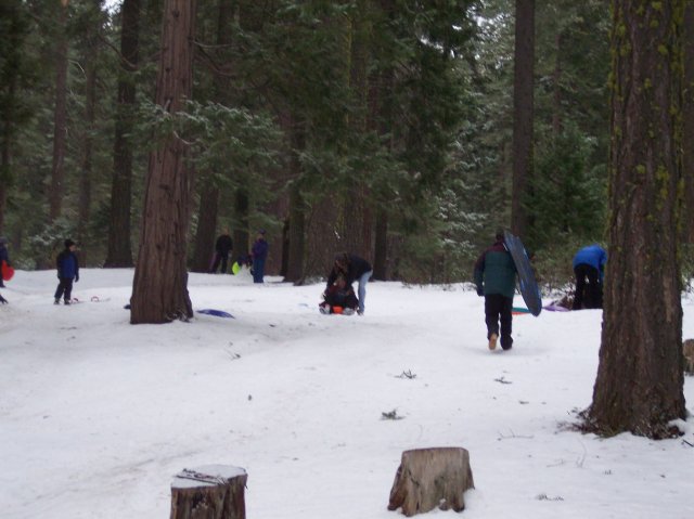 Snow covered meadow 