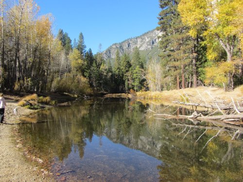 Fall colors in Yosemite