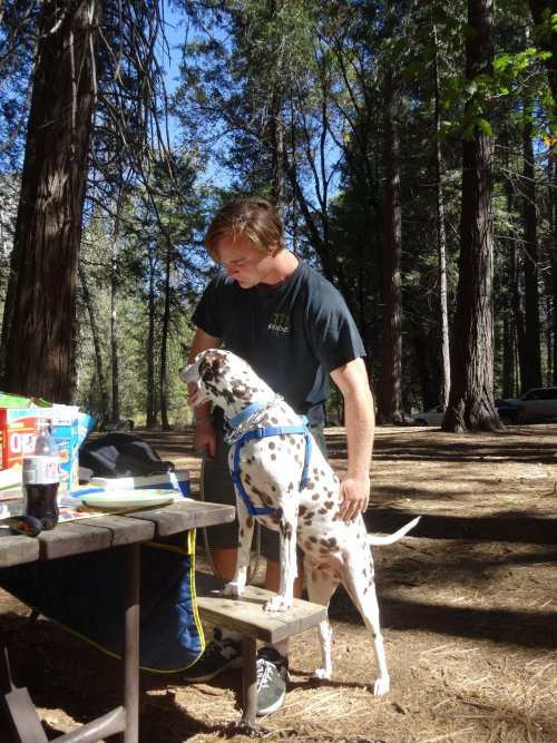 Jonny and Lucky