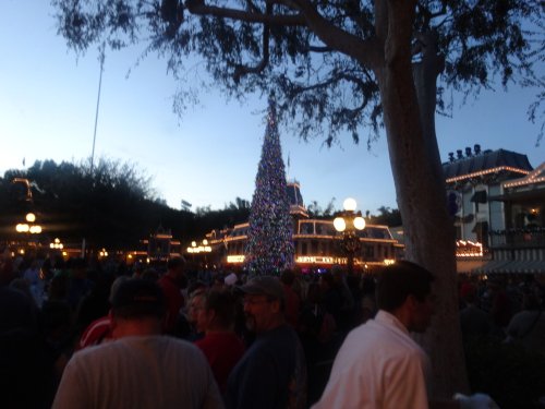 Christmas tres in Disneyland