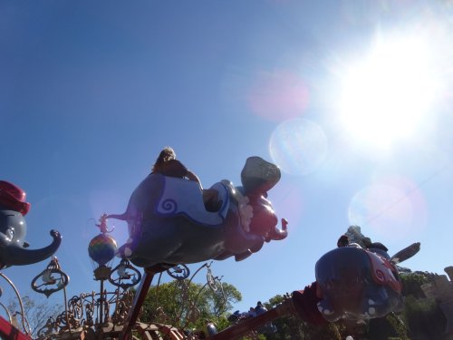 Dad on Dumbo