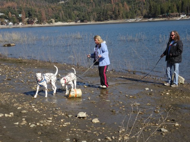 family and dogs in the mud