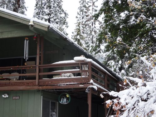 cabin in the snow