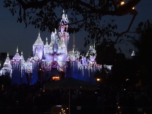 Castle