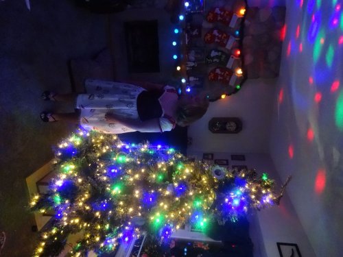 Missy ready for the Christmas dance