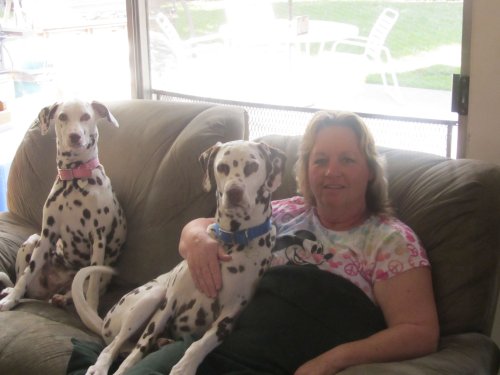 Mom and Dalmatians