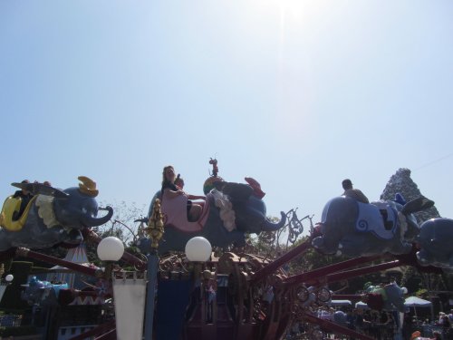 family on Dumbo