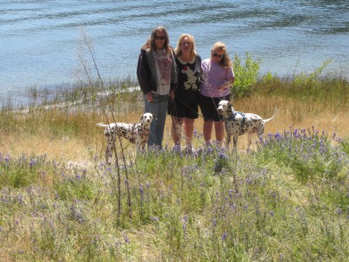 Family by the lake