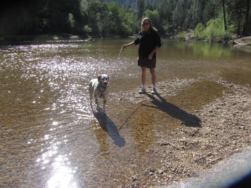 Dad and Lucky