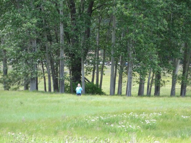 Mom in the meadow
