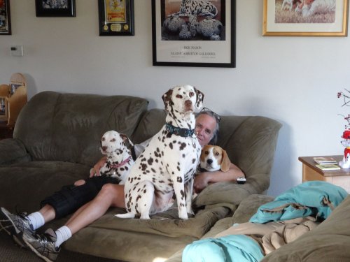 dad under dogs