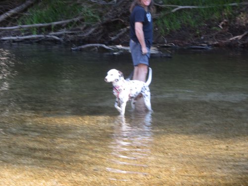 Dixie and dad