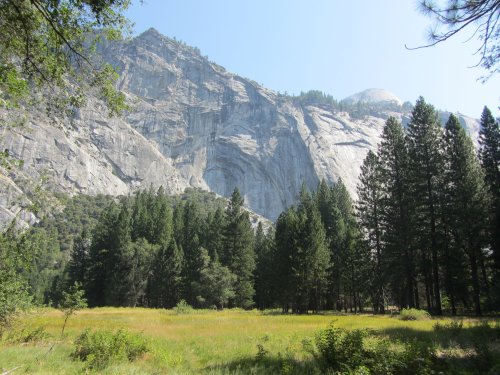 Ahwahnee meadow