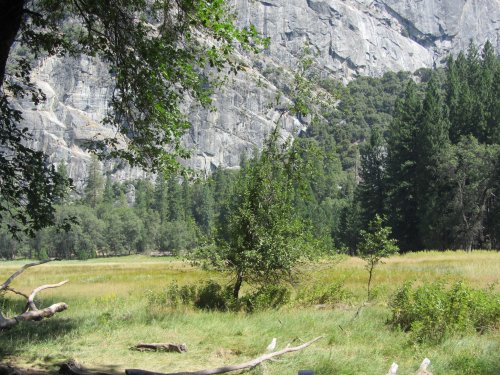 Ahwahnee Meadow