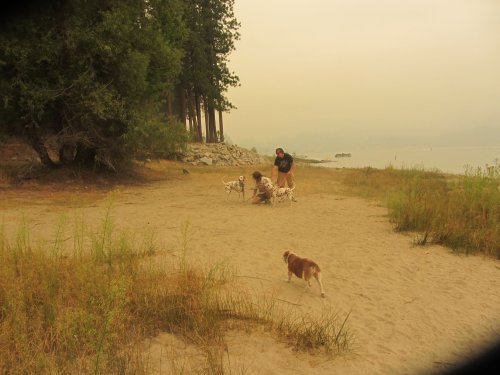Group on beach