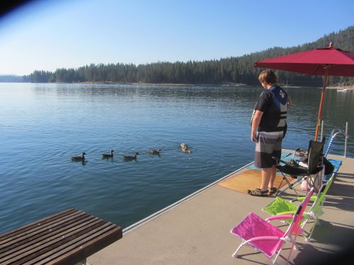 Jonny feeding ducks
