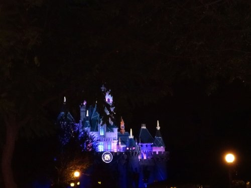 Castle at Disneyland