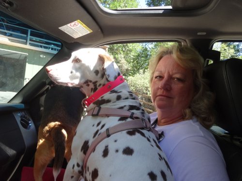 dogs and mom