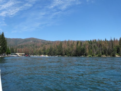 Bass Lake