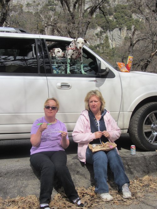 Girls and lunch being supervised by dogs