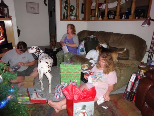 chaos amongst the presents