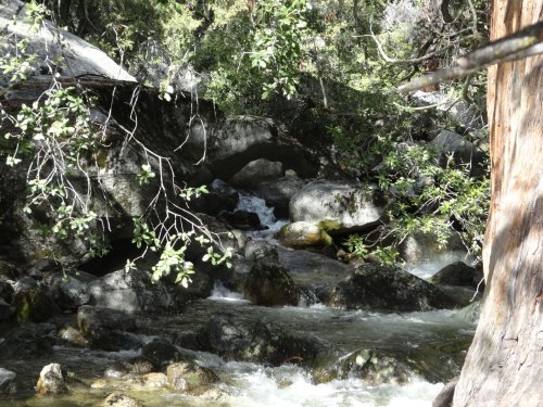 waterfall in Yosemite