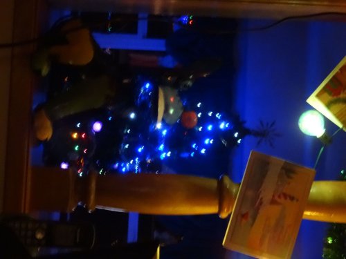 Christmas decorations