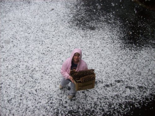 Lori on driveway as it starts to snow 