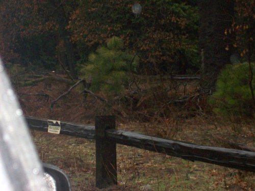 Deer in Yosemite (they're in there somewhare). 