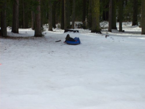 Dad heading for the trees 