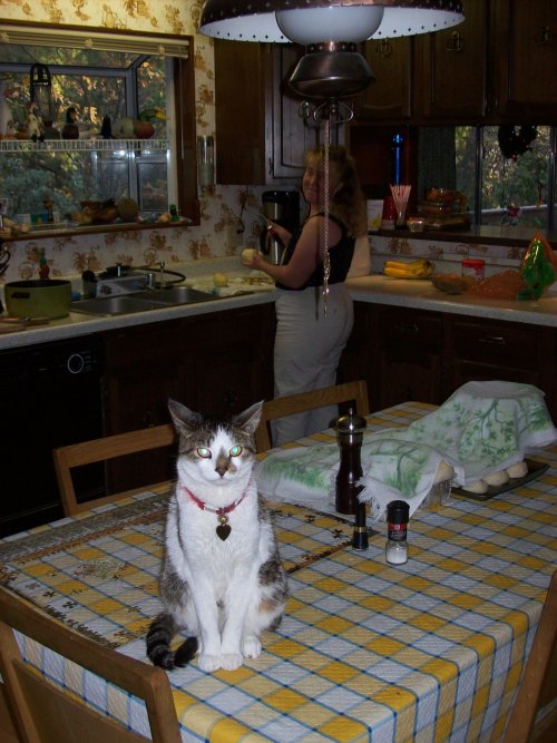 JC monitoring the kitchen 