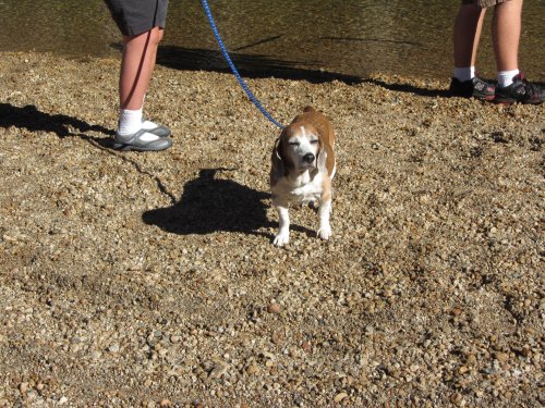 Riley by the river 