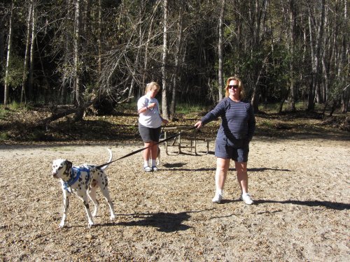 Lucky taking Lori for a walk 