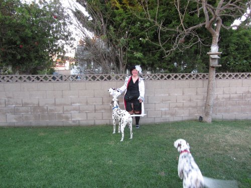 Cruella DeVil and the dogs   (Missy on Halloween) 