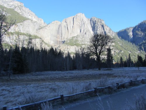 Frost covered meadow in Yosemite Valley 