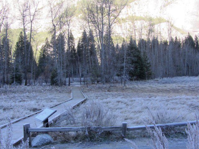 Frost covered meadow in Yosemite Valley 