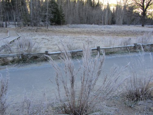 Frost covered meadow in Yosemite Valley 